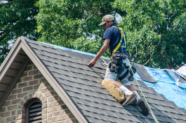 Best Metal Roofing Contractor  in Little Rock, AR